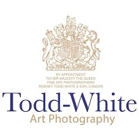 Todd White Art Photography 1101899 Image 2